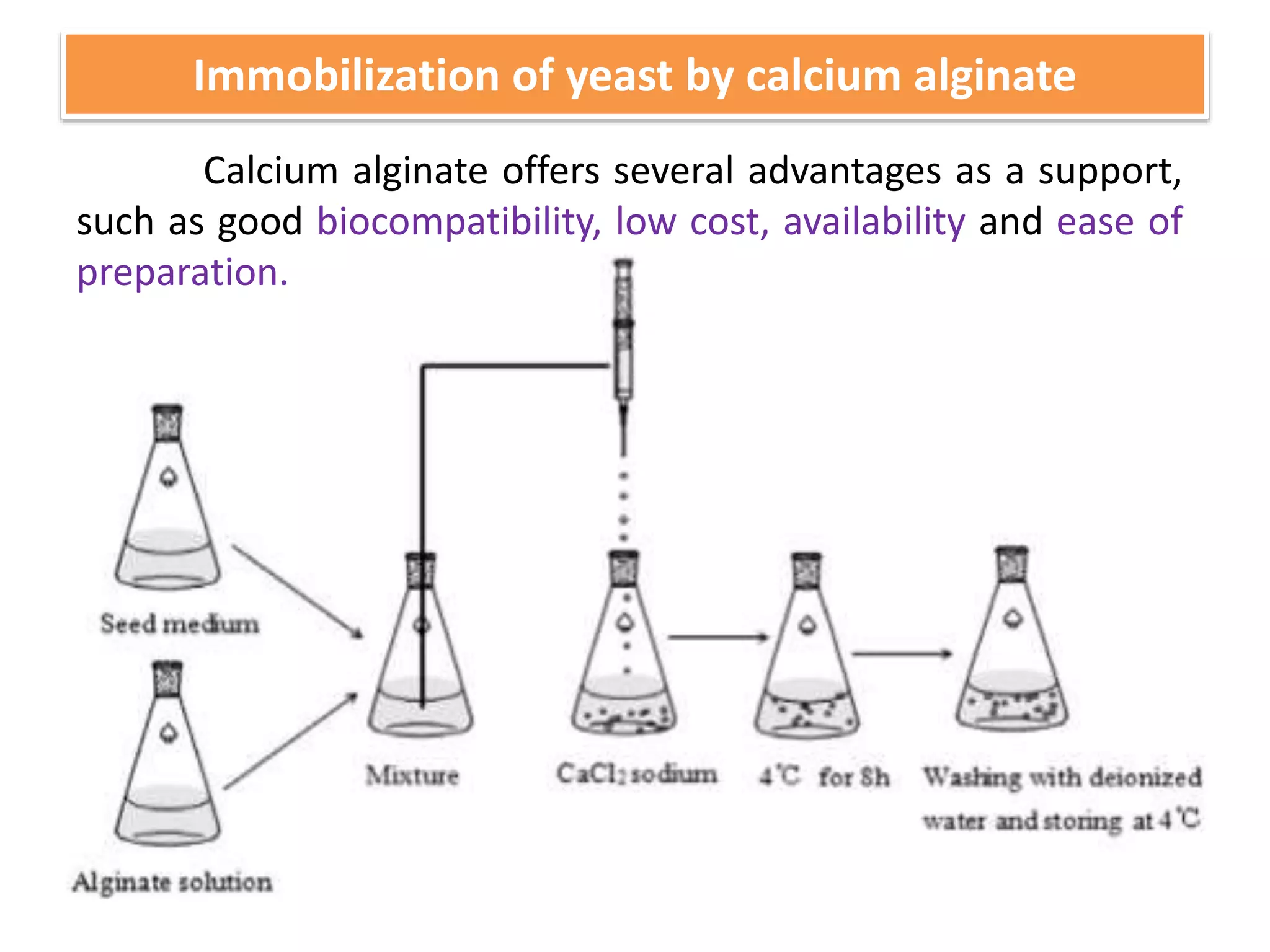 Immobilization of yeast by calcium alginate
Calcium alginate offers several advantages as a support,
such as good biocompatibility, low cost, availability and ease of
preparation.
 