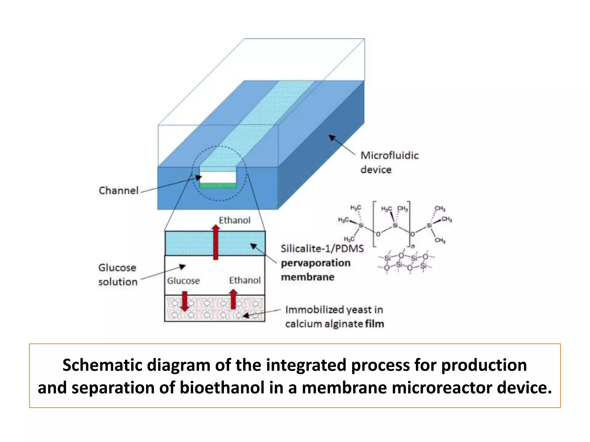 Schematic diagram of the integrated process for production
and separation of bioethanol in a membrane microreactor device.
 