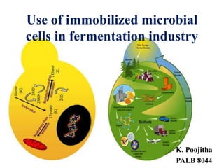 Use of immobilized microbial
cells in fermentation industry
K. Poojitha
PALB 8044
 