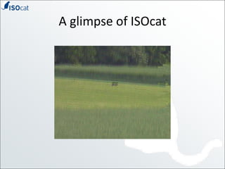 A glimpse of ISOcat