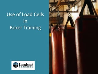 Use of Load Cells in Boxer Training 