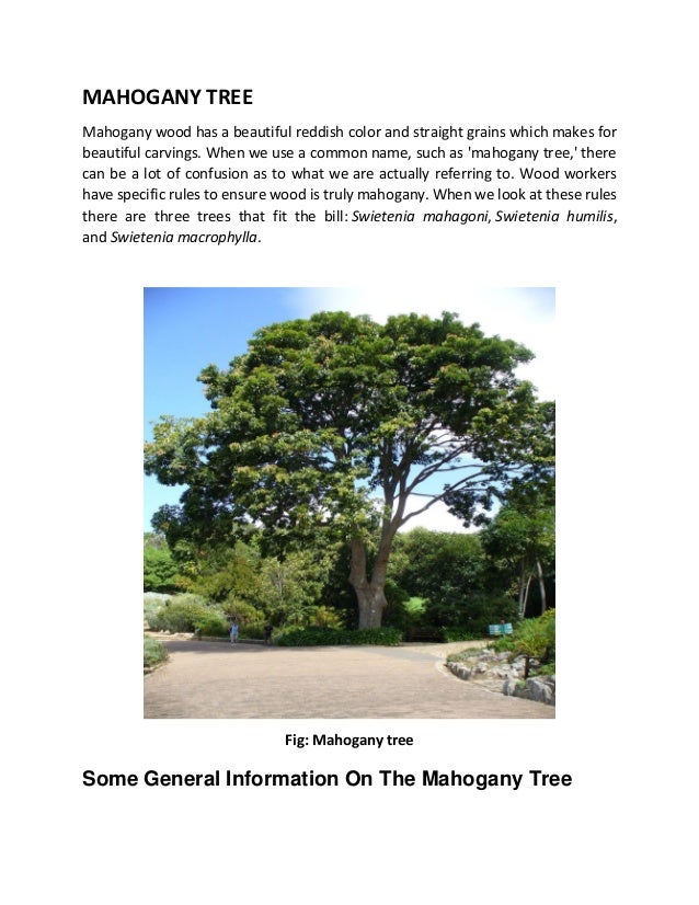 Use Of Mahogany In Ipm