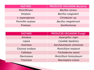 ENZYMES PRODUCER ORGANISM (Bacteria)
Penicillinase Bacillus cereus
Amylase Bacillus coagulans
L-asparaginase Citrobacter sp.
Penicillin acylase Bacillus megaterium
Protease Xanthomonas
ENZYMES PRODUCER ORGANISM (Fungi)
Amylase Aspergillus niger
Lipase Candida lipolytica
Invertase Saccharomyces cerevisiae
Glucose oxidase Penicillium notatum
Cellulase Trichoderma reesei
Dextranase Penicillium funiculosum
Trysinase Neurospora crassa
 