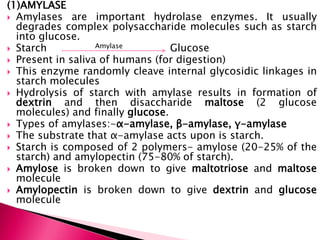 (1)AMYLASE
 Amylases are important hydrolase enzymes. It usually
degrades complex polysaccharide molecules such as starch
into glucose.
 Starch Amylase Glucose
 Present in saliva of humans (for digestion)
 This enzyme randomly cleave internal glycosidic linkages in
starch molecules
 Hydrolysis of starch with amylase results in formation of
dextrin and then disaccharide maltose (2 glucose
molecules) and finally glucose.
 Types of amylases:-α-amylase, β-amylase, γ-amylase
 The substrate that α-amylase acts upon is starch.
 Starch is composed of 2 polymers- amylose (20-25% of the
starch) and amylopectin (75-80% of starch).
 Amylose is broken down to give maltotriose and maltose
molecule
 Amylopectin is broken down to give dextrin and glucose
molecule
 