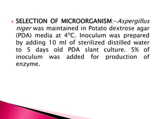  SELECTION OF MICROORGANISM:-Aspergillus
niger was maintained in Potato dextrose agar
(PDA) media at 4ºC. Inoculum was prepared
by adding 10 ml of sterilized distilled water
to 5 days old PDA slant culture. 5% of
inoculum was added for production of
enzyme.
 