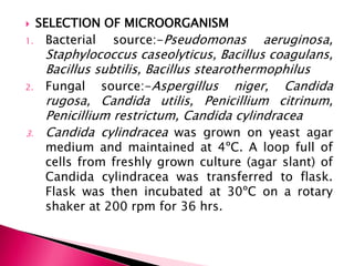  SELECTION OF MICROORGANISM
1. Bacterial source:-Pseudomonas aeruginosa,
Staphylococcus caseolyticus, Bacillus coagulans,
Bacillus subtilis, Bacillus stearothermophilus
2. Fungal source:-Aspergillus niger, Candida
rugosa, Candida utilis, Penicillium citrinum,
Penicillium restrictum, Candida cylindracea
3. Candida cylindracea was grown on yeast agar
medium and maintained at 4ºC. A loop full of
cells from freshly grown culture (agar slant) of
Candida cylindracea was transferred to flask.
Flask was then incubated at 30ºC on a rotary
shaker at 200 rpm for 36 hrs.
 