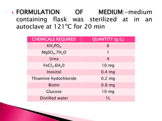  FORMULATION OF MEDIUM:-medium
containing flask was sterilized at in an
autoclave at 121ºC for 20 min
CHEMICALS REQUIRED QUANTITY (g/L)
KH2PO4 6
MgSO4.7H2O 1
Urea 4
FeCl3.6H20 10 mg
Inositol 0.4 mg
Thiamine hydochloride 0.2 mg
Biotin 0.8 mg
Glucose 10 mg
Distilled water 1L
 