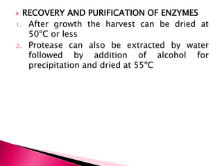  RECOVERY AND PURIFICATION OF ENZYMES
1. After growth the harvest can be dried at
50ºC or less
2. Protease can also be extracted by water
followed by addition of alcohol for
precipitation and dried at 55ºC
 