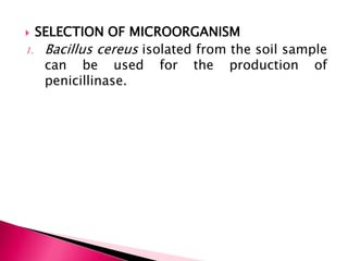  SELECTION OF MICROORGANISM
1. Bacillus cereus isolated from the soil sample
can be used for the production of
penicillinase.
 