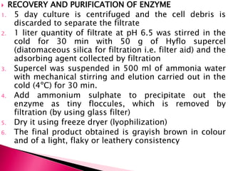  RECOVERY AND PURIFICATION OF ENZYME
1. 5 day culture is centrifuged and the cell debris is
discarded to separate the filtrate
2. 1 liter quantity of filtrate at pH 6.5 was stirred in the
cold for 30 min with 50 g of Hyflo supercel
(diatomaceous silica for filtration i.e. filter aid) and the
adsorbing agent collected by filtration
3. Supercel was suspended in 500 ml of ammonia water
with mechanical stirring and elution carried out in the
cold (4ºC) for 30 min.
4. Add ammonium sulphate to precipitate out the
enzyme as tiny floccules, which is removed by
filtration (by using glass filter)
5. Dry it using freeze dryer (lyophilization)
6. The final product obtained is grayish brown in colour
and of a light, flaky or leathery consistency
 