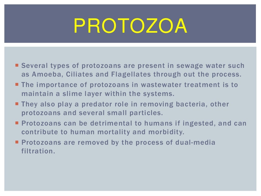 Use of in wastewater treatment