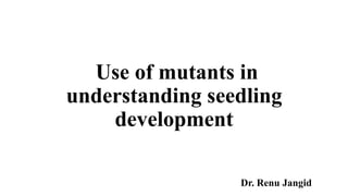 Use of mutants in
understanding seedling
development
Dr. Renu Jangid
 