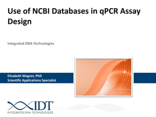 Integrated DNA Technologies
Use of NCBI Databases in qPCR Assay
Design
Elisabeth Wagner, PhD
Scientific Applications Specialist
 