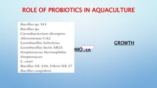 Use of Probiotics in Aquaculture.pptx
