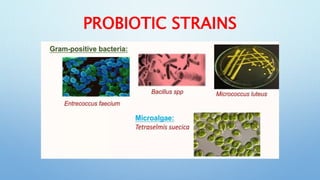 Use of Probiotics in Aquaculture.pptx