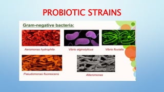 Use of Probiotics in Aquaculture.pptx