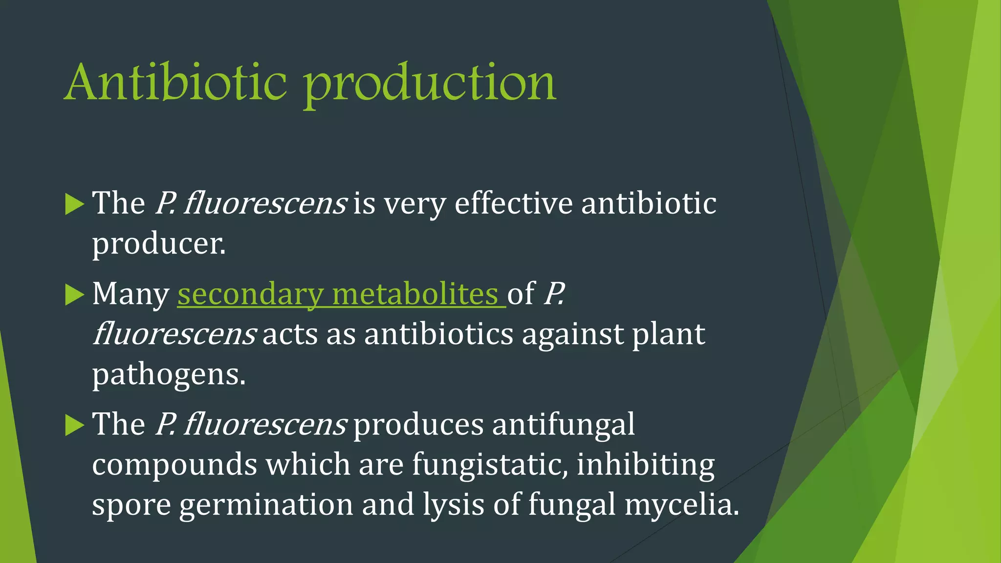 Antibiotic production
 The P. fluorescens is very effective antibiotic
producer.
 Many secondary metabolites of P.
fluorescens acts as antibiotics against plant
pathogens.
 The P. fluorescens produces antifungal
compounds which are fungistatic, inhibiting
spore germination and lysis of fungal mycelia.
 