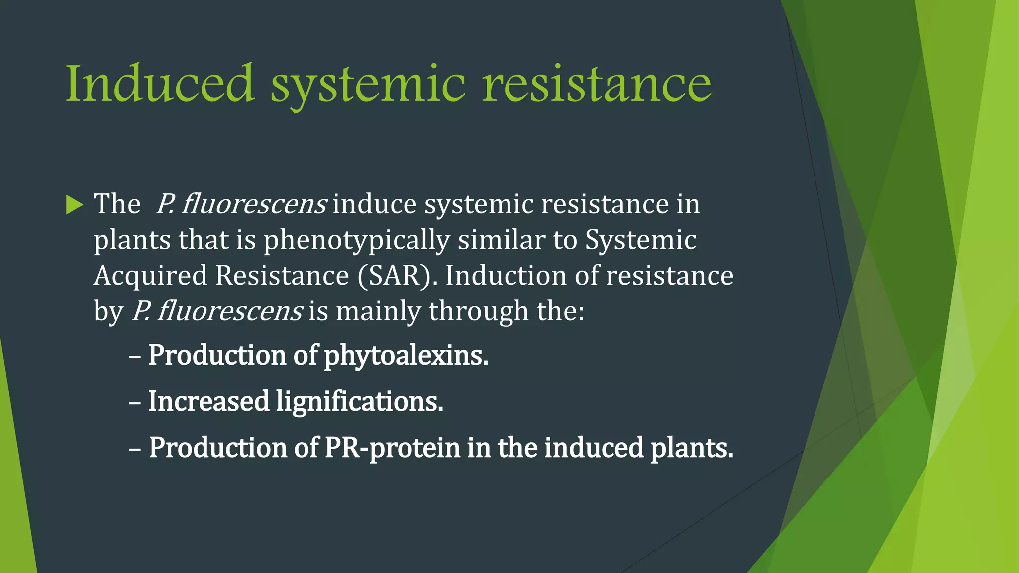 Induced systemic resistance
 The P. fluorescens induce systemic resistance in
plants that is phenotypically similar to Systemic
Acquired Resistance (SAR). Induction of resistance
by P. fluorescens is mainly through the:
- Production of phytoalexins.
- Increased lignifications.
- Production of PR-protein in the induced plants.
 