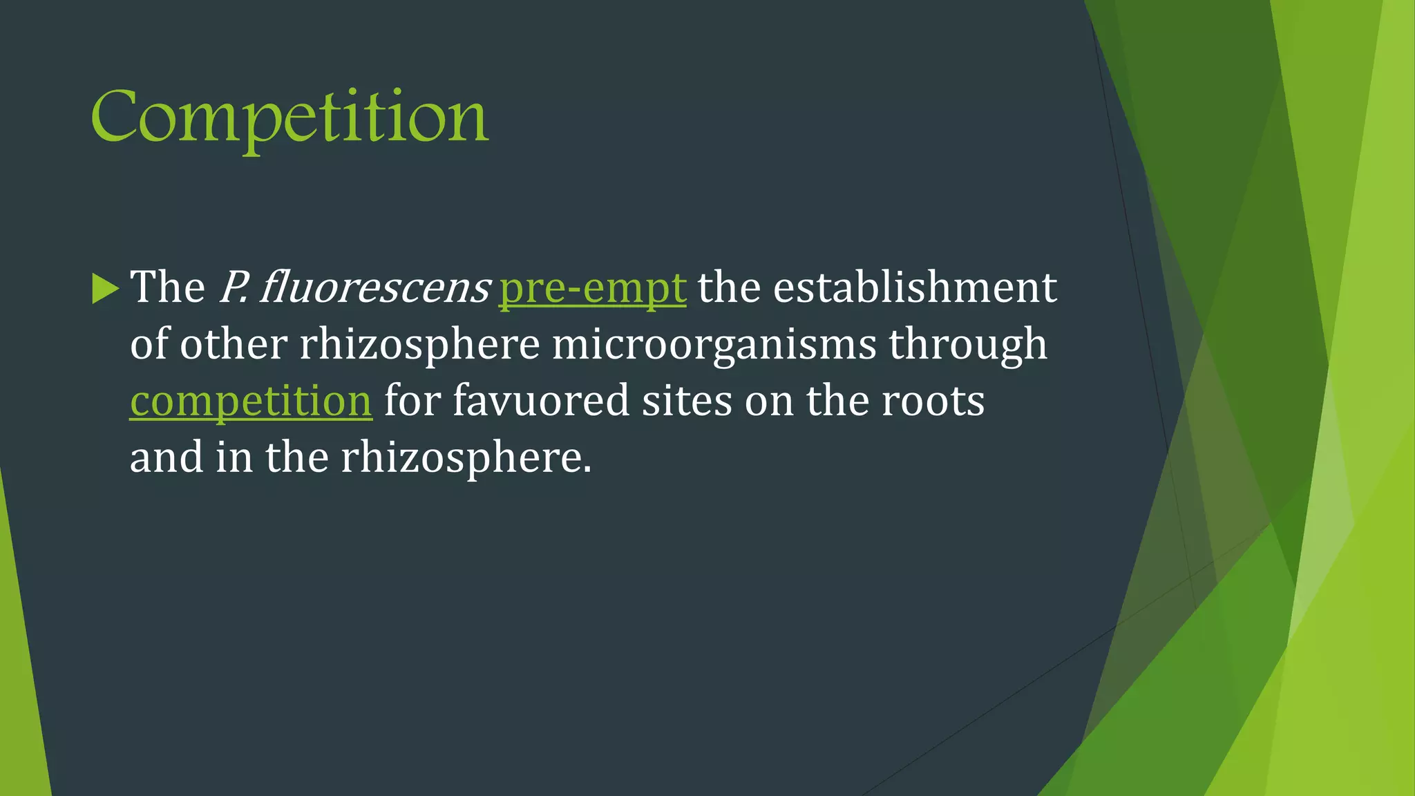 Competition
 The P. fluorescens pre-empt the establishment
of other rhizosphere microorganisms through
competition for favuored sites on the roots
and in the rhizosphere.
 