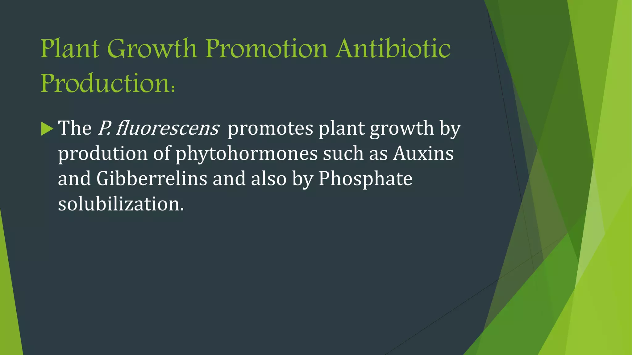 Plant Growth Promotion Antibiotic
Production:
 The P. fluorescens promotes plant growth by
prodution of phytohormones such as Auxins
and Gibberrelins and also by Phosphate
solubilization.
 