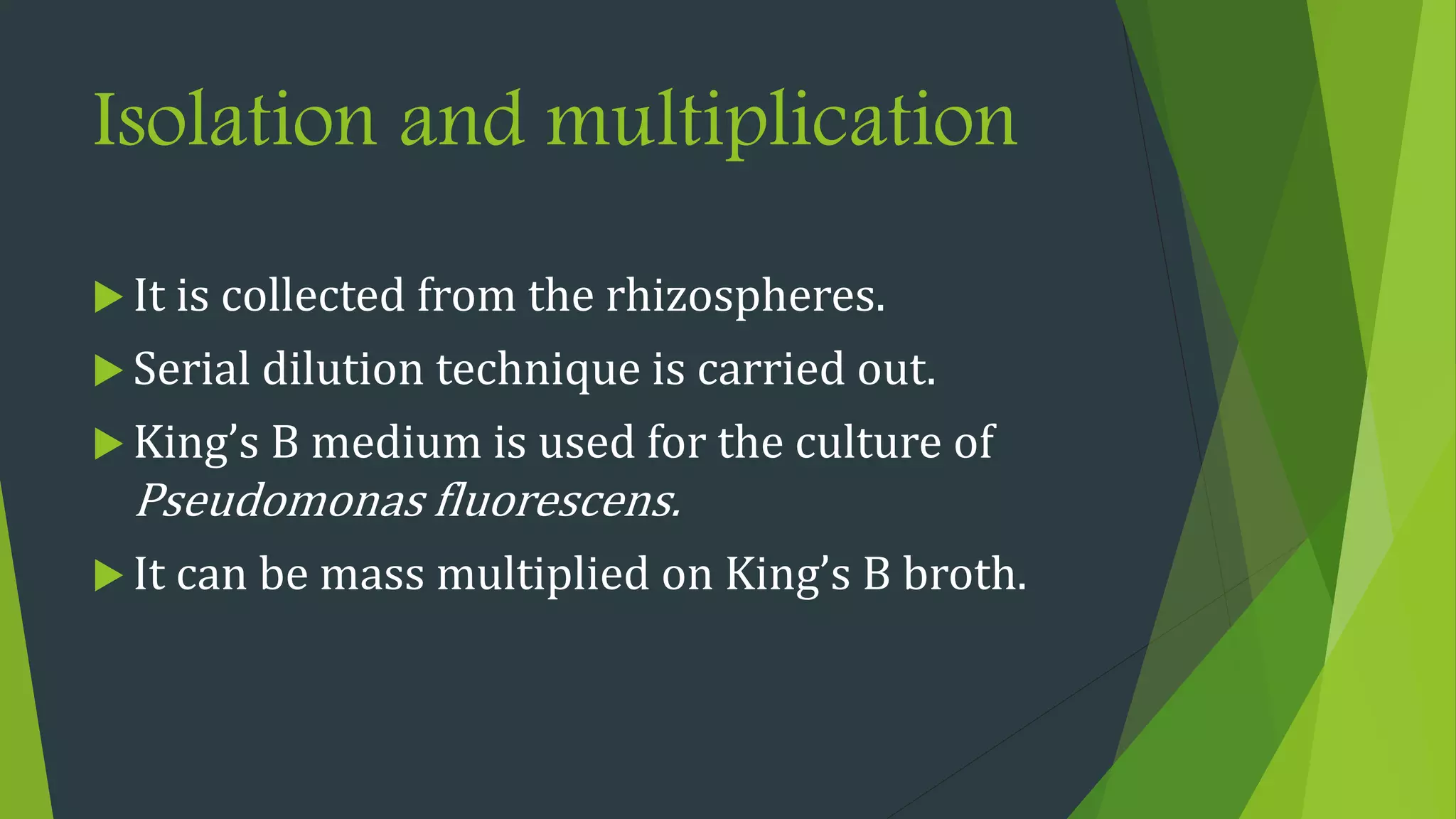 Isolation and multiplication
 It is collected from the rhizospheres.
 Serial dilution technique is carried out.
 King’s B medium is used for the culture of
Pseudomonas fluorescens.
 It can be mass multiplied on King’s B broth.
 