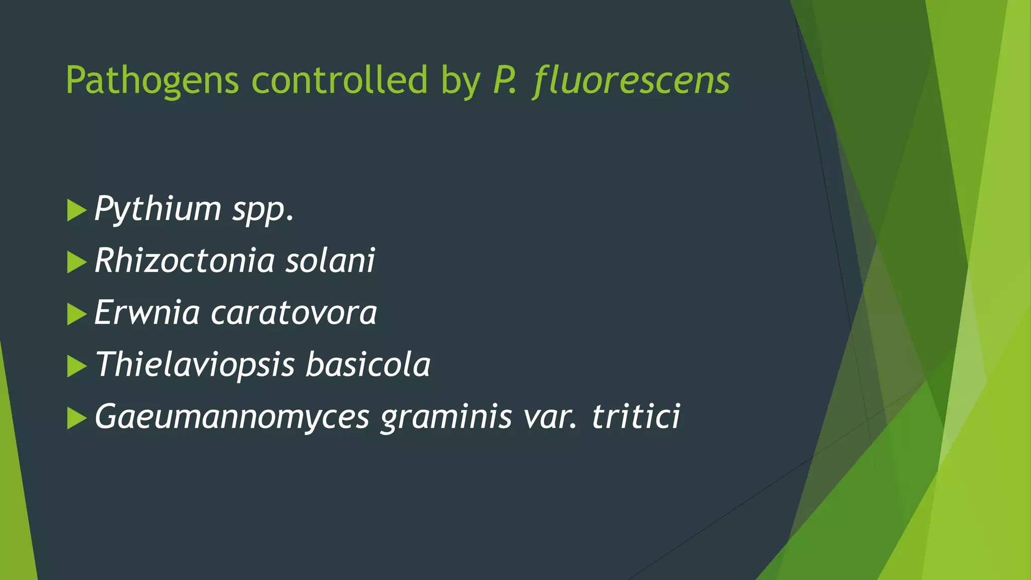 Pathogens controlled by P. fluorescens
 Pythium spp.
 Rhizoctonia solani
 Erwnia caratovora
 Thielaviopsis basicola
 Gaeumannomyces graminis var. tritici
 