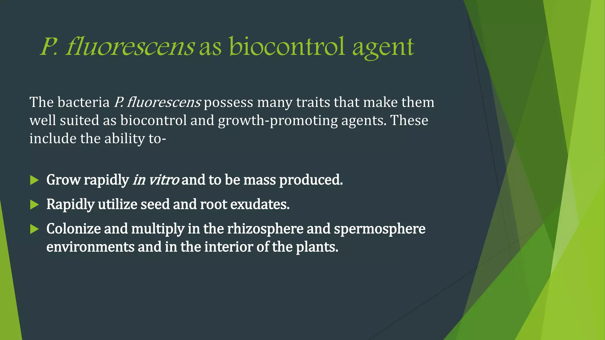 P. fluorescens as biocontrol agent
The bacteria P. fluorescens possess many traits that make them
well suited as biocontrol and growth-promoting agents. These
include the ability to-
 Grow rapidly in vitro and to be mass produced.
 Rapidly utilize seed and root exudates.
 Colonize and multiply in the rhizosphere and spermosphere
environments and in the interior of the plants.
 
