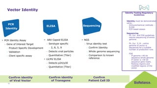 Cell Identity Testing Use of rapid quality control test methods as alternatives to ...