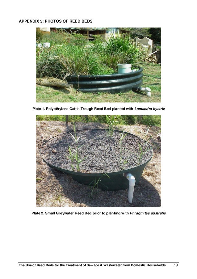 Use of reed_beds_for_the_treatment_opf_sewage_and_wastewater_from_dom…