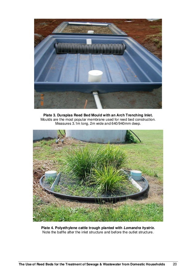 Use of reed_beds_for_the_treatment_opf_sewage_and_wastewater_from_dom…