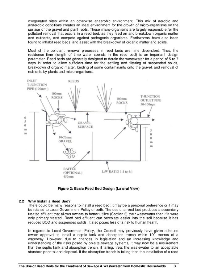 Use of reed_beds_for_the_treatment_opf_sewage_and_wastewater_from_dom…