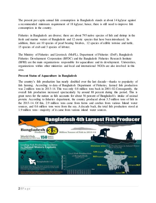 use of rotifer in