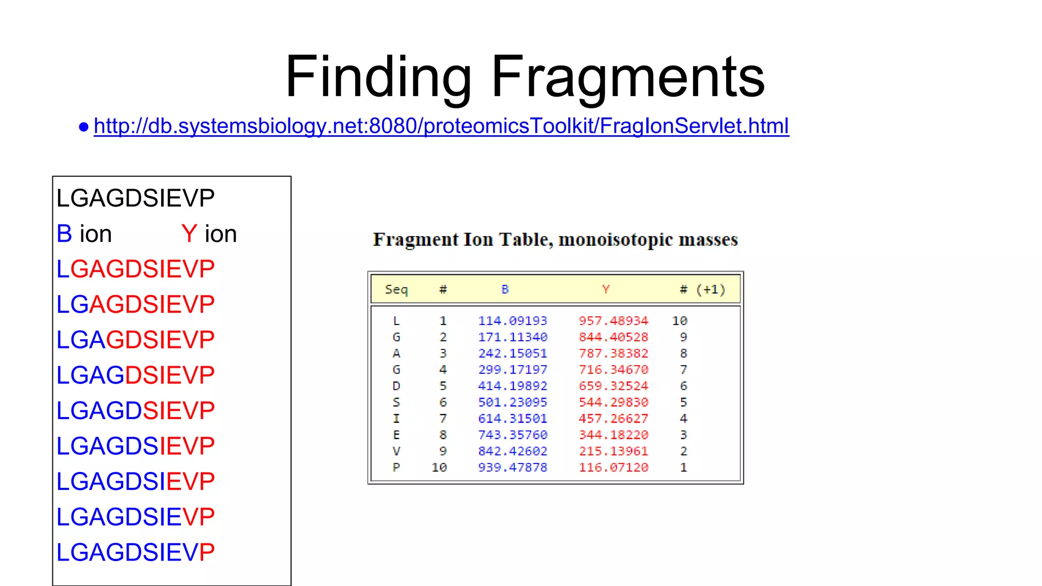 Finding Fragments
● http://db.systemsbiology.net:8080/proteomicsToolkit/FragIonServlet.html
LGAGDSIEVP
B ion Y ion
LGAGDSIEVP
LGAGDSIEVP
LGAGDSIEVP
LGAGDSIEVP
LGAGDSIEVP
LGAGDSIEVP
LGAGDSIEVP
LGAGDSIEVP
LGAGDSIEVP
 
