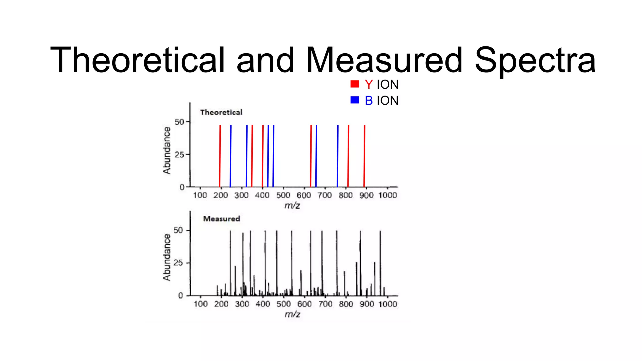 Theoretical and Measured Spectra
B ION
Y ION
 