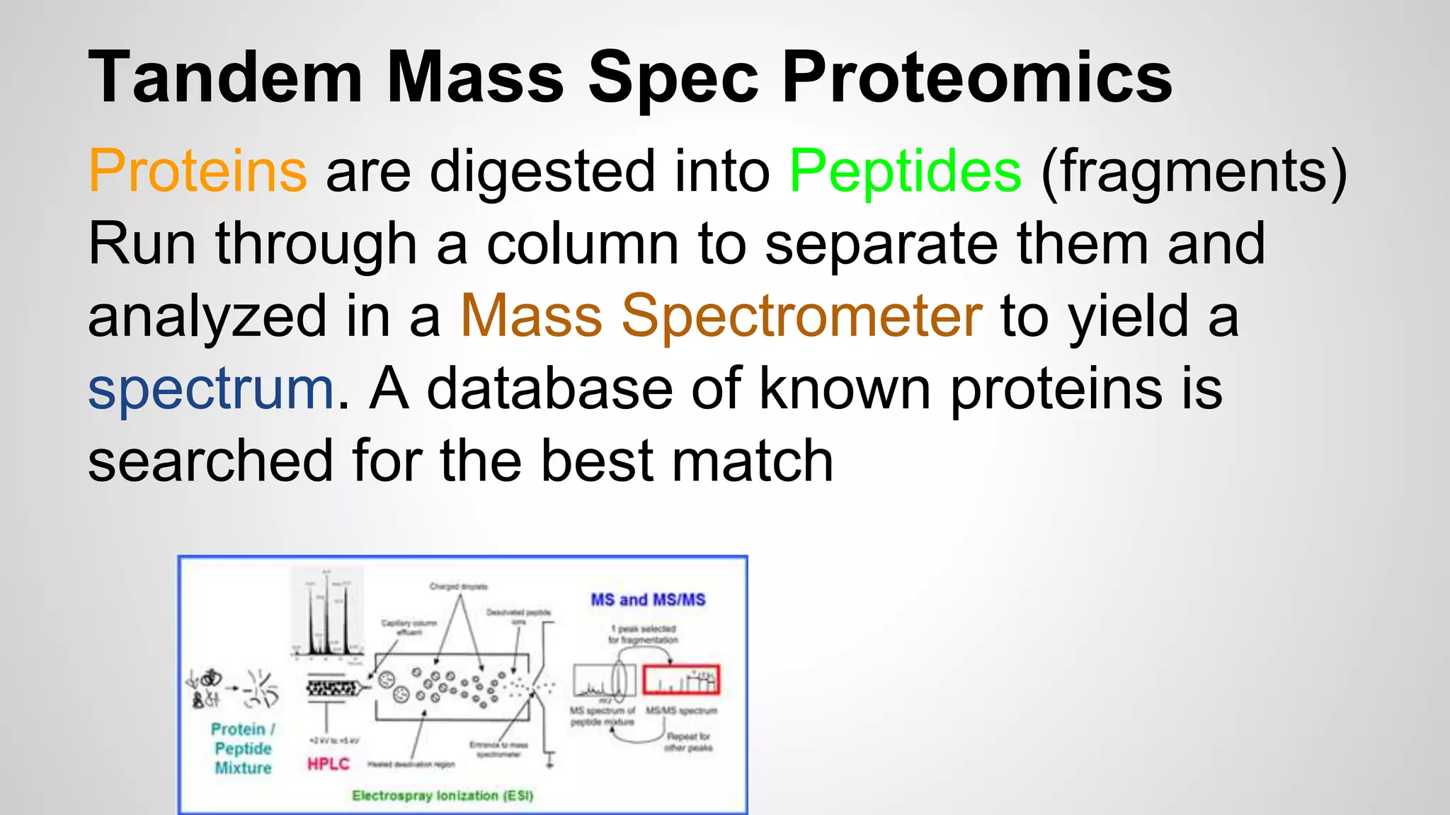 Tandem Mass Spec Proteomics
Proteins are digested into Peptides (fragments)
Run through a column to separate them and
analyzed in a Mass Spectrometer to yield a
spectrum. A database of known proteins is
searched for the best match
 