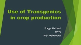Use of Transgenics
in crop production
Pragya Naithani
45979
PhD. AGRONOMY
 