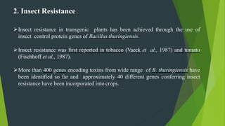 Use of transgenics in crop production | PPTX