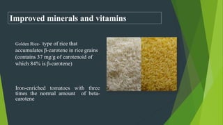 Why Is Golden Rice Good Use of transgenics in crop production | PPTX