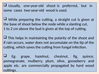  Usually, one-year-old shoot is preferred, but in
some cases two-year-old wood is used.
 While preparing the cutting, a straight cut is given at
the base of shoot below the node while a slanting cut,
1 to 2 cm above the bud is given at the top of cutting.
 This helps in maintaining the polarity of the shoot and
if rain occurs, water does not accumulate on the tip of the
cutting, which saves the cutting from fungal infection.
 Eg: grape, hazelnut, chestnut, fig, quince,
pomegranate, mulberry, plum, olive, gooseberry and
apple etc. are commercially propagated by hard wood
cuttings.
 