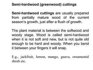 Semi-hardwood (greenwood) cuttings
Semi-hardwood cuttings are usually prepared
from partially mature wood of the current
season’s growth, just after a flush of growth.
The plant material is between the softwood and
woody stage. Wood is called semi-hardwood
when it is not soft and new, but is not quite old
enough to be hard and woody. When you bend
it between your fingers it will snap.
E.g., jackfruit, lemon, mango, guava, ornamental
shrub etc.
 