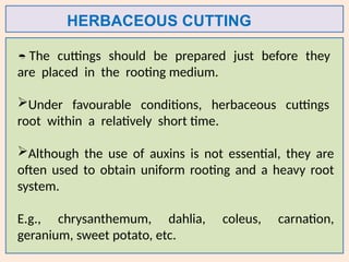 HERBACEOUS CUTTING
 The cuttings should be prepared just before they
are placed in the rooting medium.
Under favourable conditions, herbaceous cuttings
root within a relatively short time.
Although the use of auxins is not essential, they are
often used to obtain uniform rooting and a heavy root
system.
E.g., chrysanthemum, dahlia, coleus, carnation,
geranium, sweet potato, etc.
 