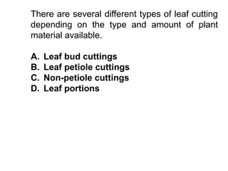 There are several different types of leaf cutting
depending on the type and amount of plant
material available.
A. Leaf bud cuttings
B. Leaf petiole cuttings
C. Non-petiole cuttings
D. Leaf portions
 