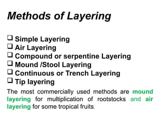 Methods of Layering
 Simple Layering
 Air Layering
 Compound or serpentine Layering
 Mound /Stool Layering
 Continuous or Trench Layering
 Tip layering
The most commercially used methods are mound
layering for multiplication of rootstocks and air
layering for some tropical fruits.
 