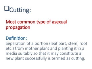Cutting:
Most common type of asexual
propagation
Definition:
Separation of a portion (leaf part, stem, root
etc.) from mother plant and planting it in a
media suitably so that it may constitute a
new plant successfully is termed as cutting.
 