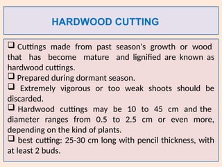 HARDWOOD CUTTING
 Cuttings made from past season's growth or wood
that has become mature and lignified are known as
hardwood cuttings.
 Prepared during dormant season.
 Extremely vigorous or too weak shoots should be
discarded.
 Hardwood cuttings may be 10 to 45 cm and the
diameter ranges from 0.5 to 2.5 cm or even more,
depending on the kind of plants.
 best cutting: 25-30 cm long with pencil thickness, with
at least 2 buds.
 