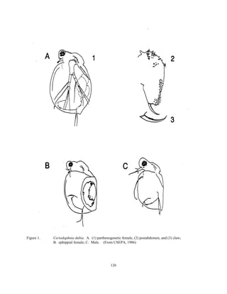 126
Figure 1. Ceriodaphnia dubia. A. (1) parthenogenetic female, (2) postabdomen, and (3) claw;
B. ephippial female; C. Male. (From USEPA, 1986)
 
