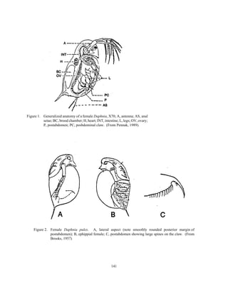 141
Figure 2. Female Daphnia pulex. A, lateral aspect (note smoothly rounded posterior margin of
postabdomen); B, ephippial female; C, postabdomen showing large spines on the claw. (From
Brooks, 1957)
Figure 1. Generalized anatomy of a female Daphnia, X70; A, antenna; AS, anal
setae; BC, brood chamber; H, heart; INT, intestine; L, legs; OV, ovary;
P, postabdomen; PC, posbdominal claw. (From Pennak, 1989).
 