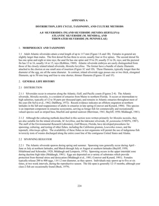 224
APPENDIX A
DISTRIBUTION, LIFE CYCLE, TAXONOMY, AND CULTURE METHODS
A.8 SILVERSIDES: INLAND SILVERSIDE (MENIDIA BERYLLINA)
ATLANTIC SILVERSIDE (M. MENIDIA), AND
TIDEWATER SILVERSIDE (M. PENINSULAE)
1. MORPHOLOGY AND TAXONOMY
1.1 Adult Atlantic silversides attain a total length of up to 117 mm (Figure 1A and 1B). Females in general are
slightly larger than males. The first dorsal fin has three to seven, usually four or five spines. The second dorsal fin
has one spine and eight or nine rays; the anal fin has one spine and 19 to 29, usually 21 to 26, rays; and the pectoral
fin has 12 to 16, usually 14 or 15, rays (Robbins, 1969). Atlantic silverside embryos are easily distinguished from
those of the closely related inland silverside, Menidia beryllina. The former have a bundle of elastic filaments
attached to the chorion at one small area of insertion (Figure 1C and 1D). These filaments, typically longer than the
diameter of the egg, are all the same diameter. In contrast, inland silverside eggs posses one or two thick, elongated
filaments, up to 50 mm long and four to nine shorter, thinner filaments (Figures 1E and 1F).
2. GENERAL LIFE HISTORY
2.1 DISTRIBUTION
2.1.1 Silversides occur in estuaries along the Atlantic, Gulf, and Pacific coasts (Figures 2-4). The Atlantic
silverside, Menidia menidia, is a resident of estuaries from Maine to northern Florida. It occurs at intermediate to
high salinities, typically of 12 to 30 parts per thousand (ppt), and remains in Atlantic estuaries throughout most of
the year (De Sylva et al., 1962; Dahlberg, 1972). Recent evidence indicates an offshore migration at northern
latitudes in the fall and reappearance of adults in estuaries in late spring (Conover and Kynard, 1984). This species
is an important component in estuarine ecosystems, serving as forage fish for commercially and recreationally
valued species such as striped bass, bluefish and spotted seatrout (Merriman, 1941; Bayliff, 1950; Middaugh, 1981).
2.1.2 Although the culturing methods described in this section were written primarily for Menidia menidia, they
are also suitable for the inland silverside, M. beryllina, and the tidewater silverside, M. peninsulae (USEPA, 1987).
The staff of the Environmental Research Laboratory, Gulf Breeze, Florida, have developed procedures for
spawning, culturing, and testing of other fishes, including the California grunion, Leuresthes tenuis, and the
topsmelt, Atherinops affinis. The availability of these fishes as test organisms will permit the use of indigenous fish
in toxicity tests of wastes discharged along the entire coast line of the contiguous United States and Alaska.
2.2 SPAWNING BEHAVIOR
2.2.1 The Atlantic silverside spawns during spring and summer. Spawning runs generally occur during April -
June or July at northern latitudes, and March through July or August at southern latitudes (Bayliff, 1950;
Hildebrand and Schroeder, 1928; Middaugh and Lempesis, 1976). Spawning occurs in the upper intertidal zone
during daytime high tides (Middaugh, 1981). Eggs are deposited on a variety of substrates which provide
protection from thermal stress and desiccation (Middaugh et al., 1981; Conover and Kynard, 1981). Females
typically release 200 to 800 eggs, 1.0-1.2 mm diameter, as they spawn. Individuals may spawn up to five or six
times, at two week intervals, during the reproductive season. The life span is generally 12-15 months, although year
class-2 fish are occasionally found (Beck, 1979).
 