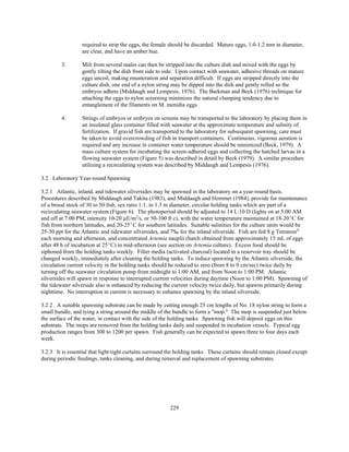 229
required to strip the eggs, the female should be discarded. Mature eggs, 1.0-1.2 mm in diameter,
are clear, and have an amber hue.
3. Milt from several males can then be stripped into the culture dish and mixed with the eggs by
gently tilting the dish from side to side. Upon contact with seawater, adhesive threads on mature
eggs uncoil, making enumeration and separation difficult. If eggs are stripped directly into the
culture dish, one end of a nylon string may be dipped into the dish and gently rolled so the
embryos adhere (Middaugh and Lempesis, 1976). The Barkman and Beck (1976) technique for
attaching the eggs to nylon screening minimizes the natural clumping tendency due to
entanglement of the filaments on M. menidia eggs.
4. Strings of embryos or embryos on screens may be transported to the laboratory by placing them in
an insulated glass container filled with seawater at the approximate temperature and salinity of
fertilization. If gravid fish are transported to the laboratory for subsequent spawning, care must
be taken to avoid overcrowding of fish in transport containers. Continuous, vigorous aeration is
required and any increase in container water temperature should be minimized (Beck, 1979). A
mass culture system for incubating the screen-adhered eggs and collecting the hatched larvae in a
flowing seawater system (Figure 5) was described in detail by Beck (1979). A similar procedure
utilizing a recirculating system was described by Middaugh and Lempesis (1976).
3.2 Laboratory Year-round Spawning
3.2.1 Atlantic, inland, and tidewater silversides may be spawned in the laboratory on a year-round basis.
Procedures described by Middaugh and Takita (1983), and Middaugh and Hemmer (1984), provide for maintenance
of a brood stock of 30 to 50 fish, sex ratio 1:1, in 1.3 m diameter, circular holding tanks which are part of a
recirculating seawater system (Figure 6). The photoperiod should be adjusted to 14 L:10 D (lights on at 5:00 AM
and off at 7:00 PM, intensity 10-20 µE/m2
/s, or 50-100 ft c), with the water temperature maintained at 18-20EC for
fish from northern latitudes, and 20-25EC for southern latitudes. Suitable salinities for the culture units would be
25-30 ppt for the Atlantic and tidewater silversides, and 7‰ for the inland silverside. Fish are fed 8 g Tetramin®
each morning and afternoon, and concentrated Artemia nauplii (hatch obtained from approximately 15 mL of eggs
after 48 h of incubation at 25EC) in mid-afternoon (see section on Artemia culture). Excess food should be
siphoned from the holding tanks weekly. Filter media (activated charcoal) located in a reservoir tray should be
changed weekly, immediately after cleaning the holding tanks. To induce spawning by the Atlantic silverside, the
circulation current velocity in the holding tanks should be reduced to zero (from 8 to 0 cm/sec) twice daily by
turning off the seawater circulation pump from midnight to 1:00 AM, and from Noon to 1:00 PM. Atlantic
silversides will spawn in response to interrupted current velocities during daytime (Noon to 1:00 PM). Spawning of
the tidewater silverside also is enhanced by reducing the current velocity twice daily, but spawns primarily during
nighttime. No interruption in current is necessary to enhance spawning by the inland silverside.
3.2.2 A suitable spawning substrate can be made by cutting enough 25 cm lengths of No. 18 nylon string to form a
small bundle, and tying a string around the middle of the bundle to form a "mop." The mop is suspended just below
the surface of the water, in contact with the side of the holding tanks. Spawning fish will deposit eggs on this
substrate. The mops are removed from the holding tanks daily and suspended in incubation vessels. Typical egg
production ranges from 300 to 1200 per spawn. Fish generally can be expected to spawn three to four days each
week.
3.2.3 It is essential that light-tight curtains surround the holding tanks. These curtains should remain closed except
during periodic feedings, tanks cleaning, and during removal and replacement of spawning substrates.
 