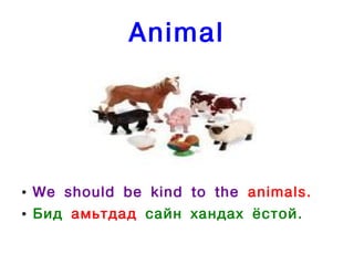 Animal




●   We should be kind to the animals.
●   Бид амьтдад сайн хандах ёстой.
 